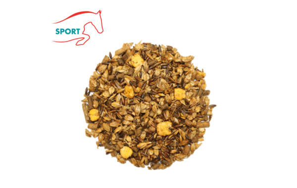 sport max